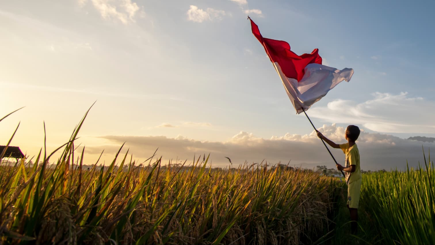 Yayasan BUMN's cover image